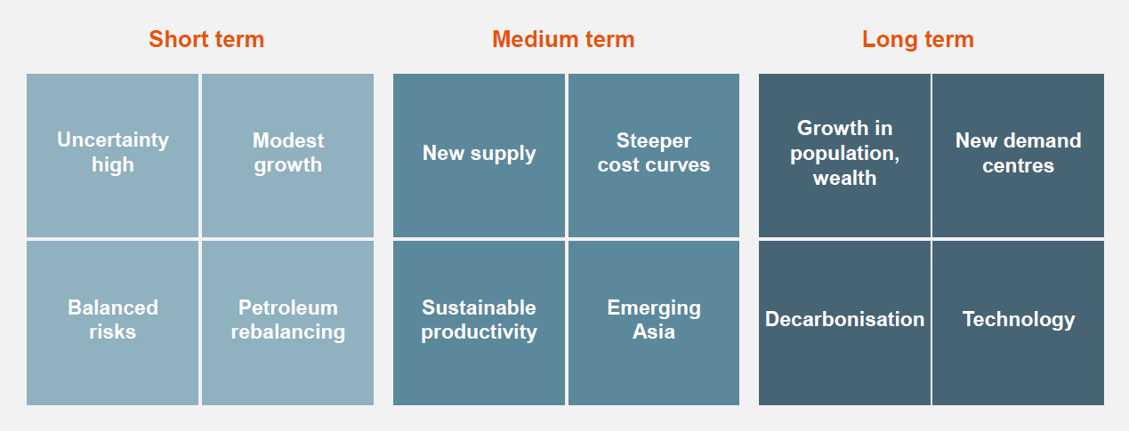 BHP Marketing outlook diagram