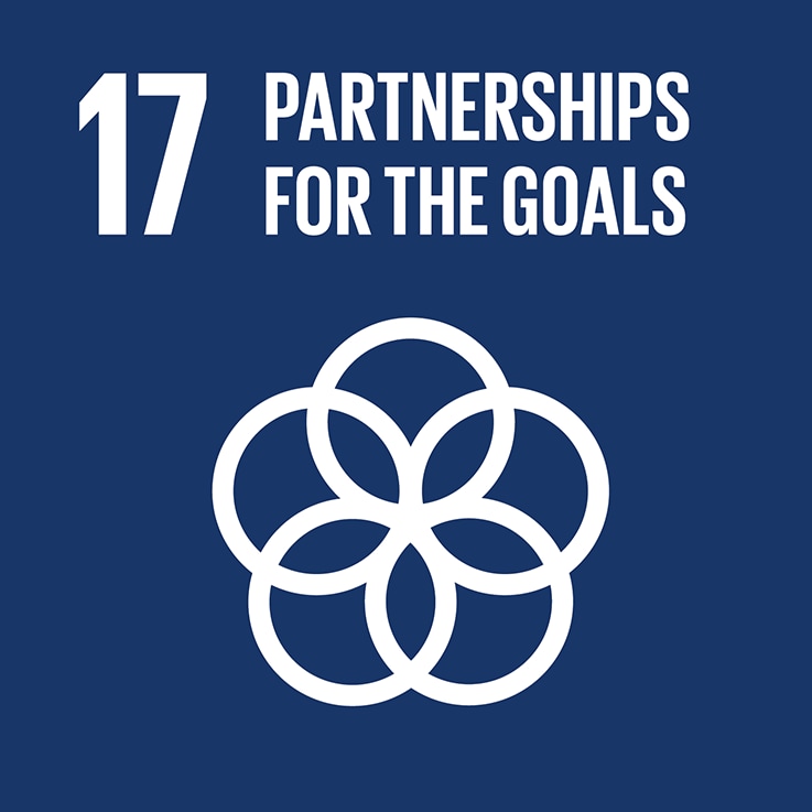 United Nations Sustainable Development Goal Partnerships for the Goals