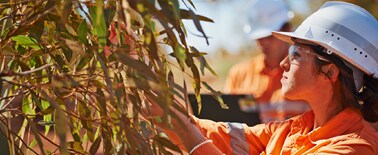 person looking at leaves
