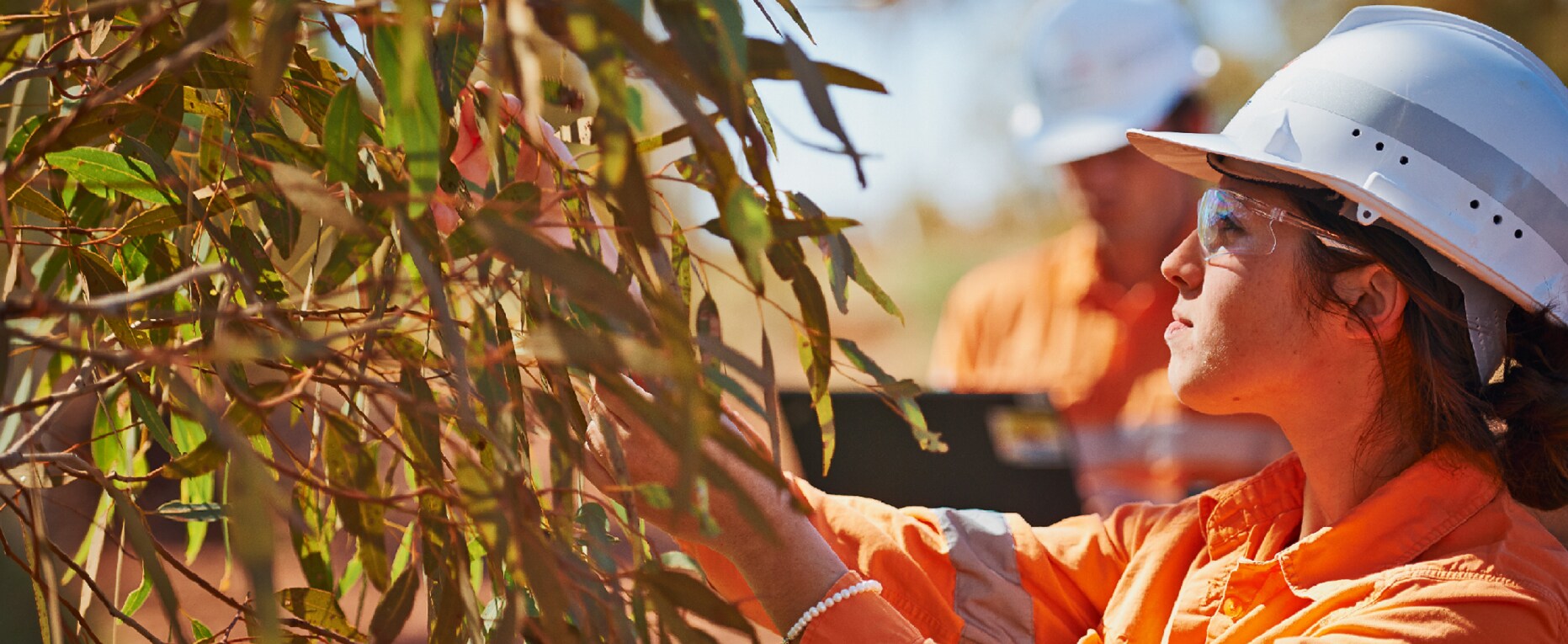 person looking at leaves
