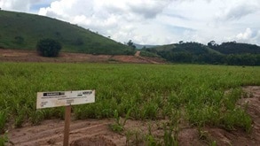 Samarco