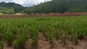 Samarco