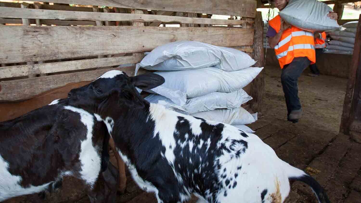 Samarco