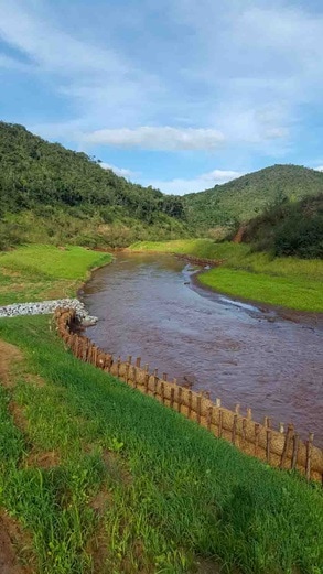 Santarem River Revegetation (tributary to Gualaxo River)