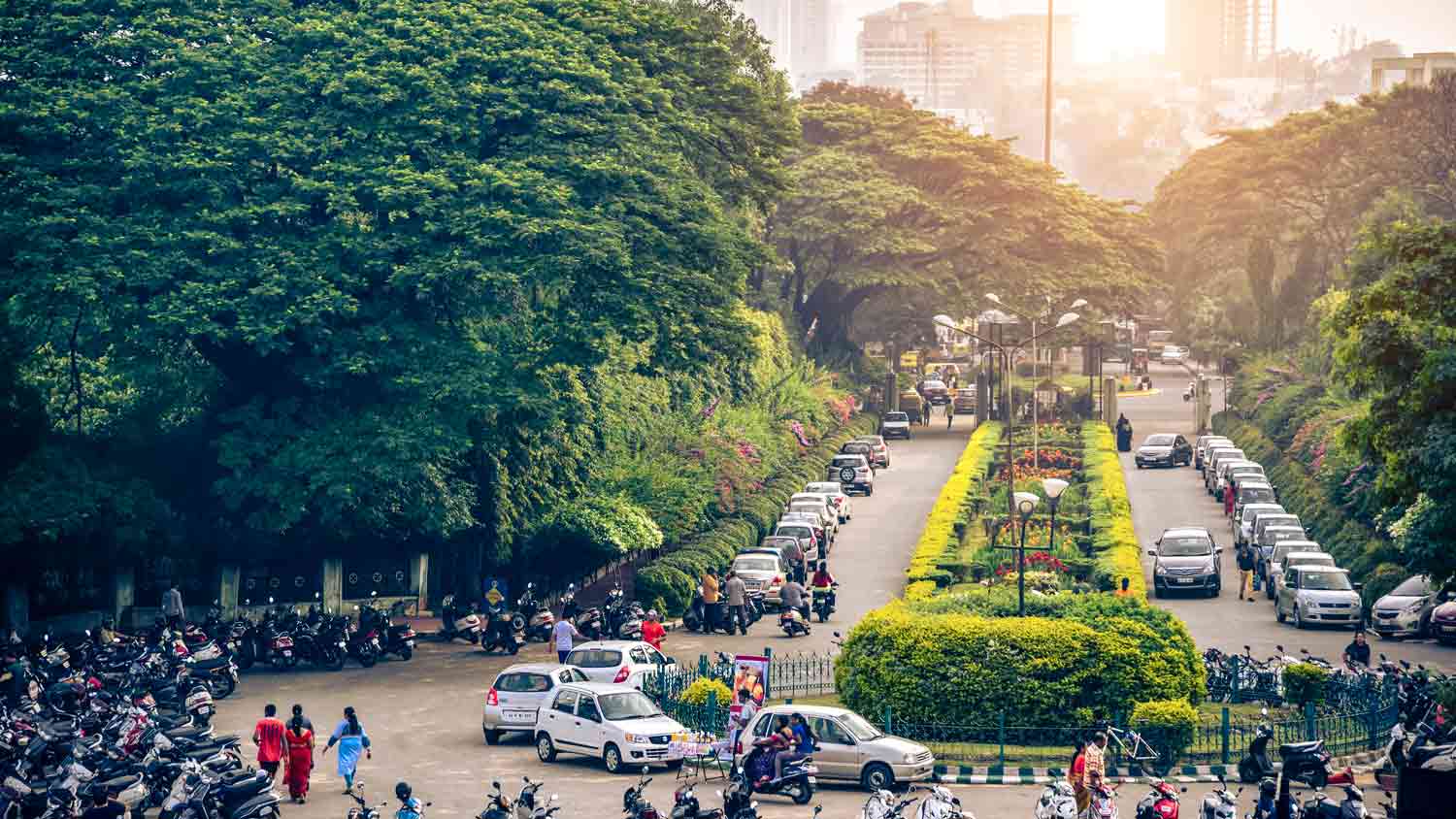 India: the elephant in the room