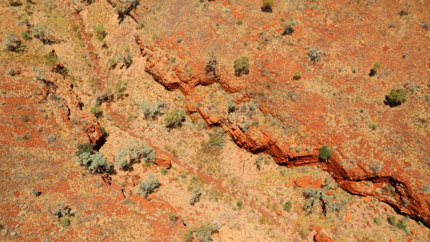 BHP Billiton Foundation Environmental Resilience