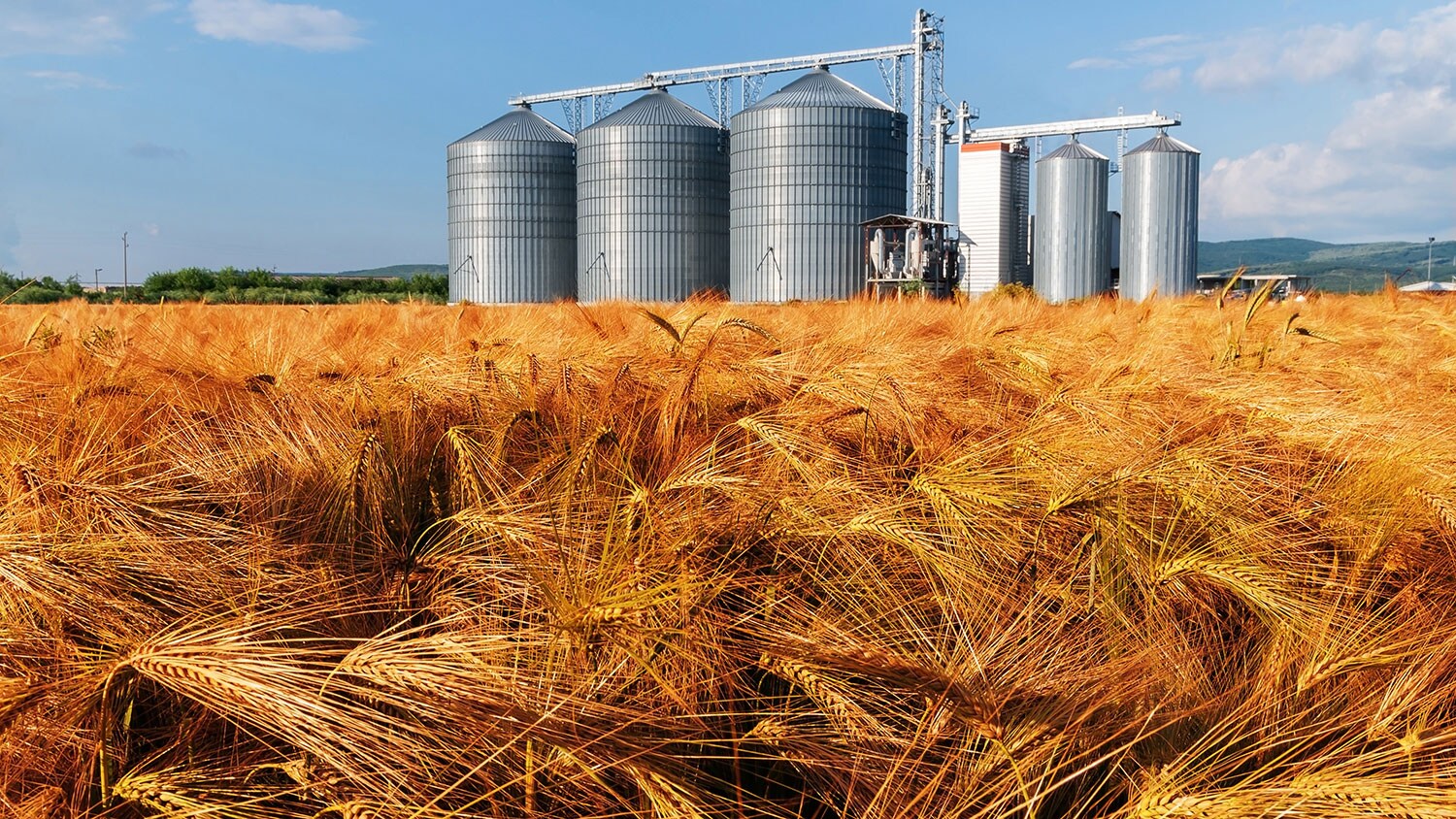 Food Security