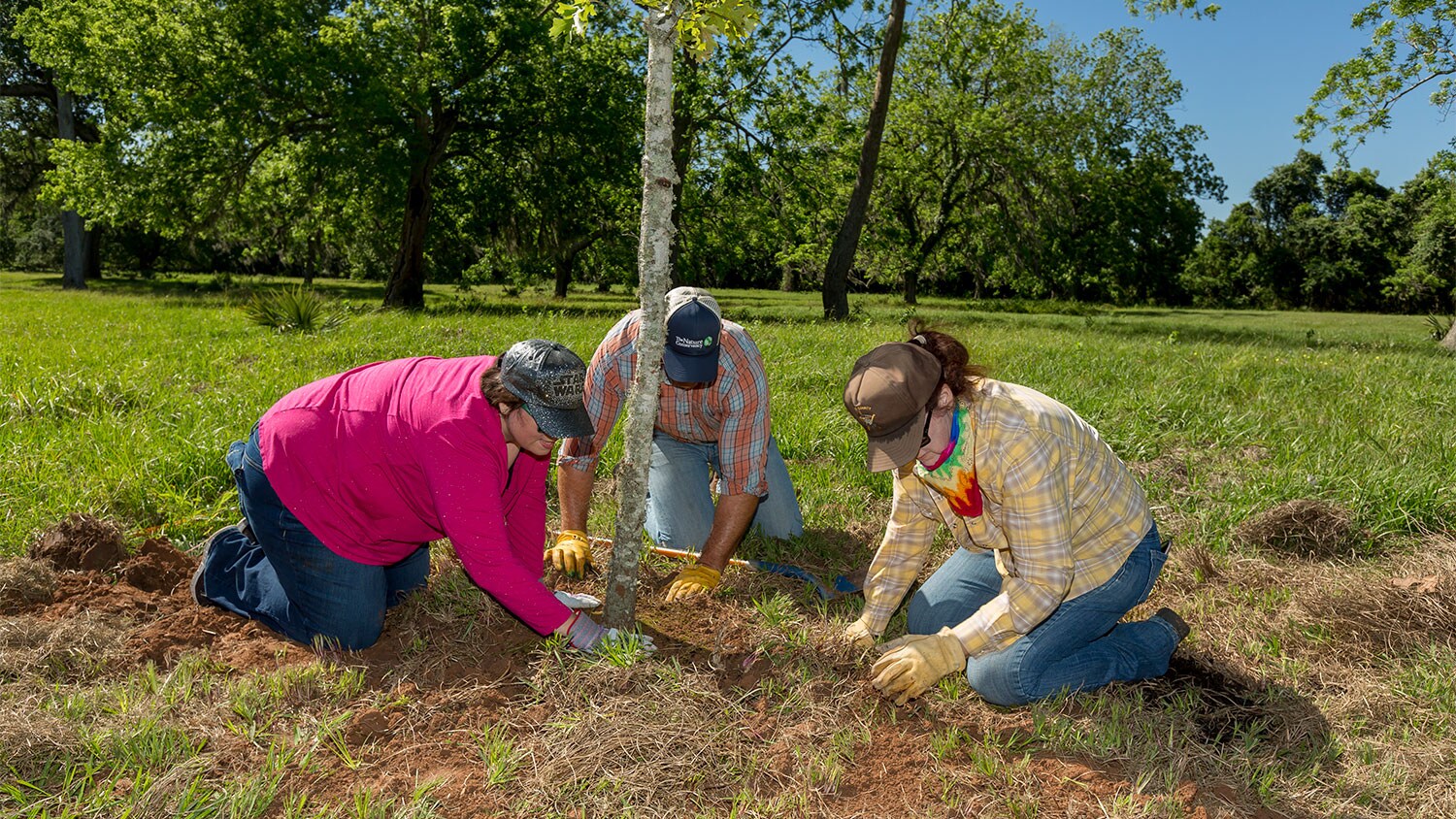 Supporting conservation projects in Texas and Arkansas 2019