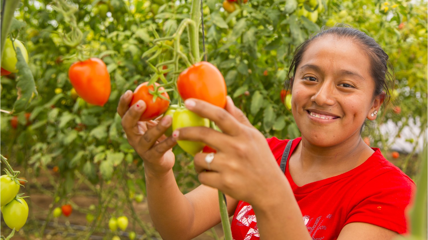 Enhancing access to education for women in Mexico BHP