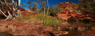 Environment banner