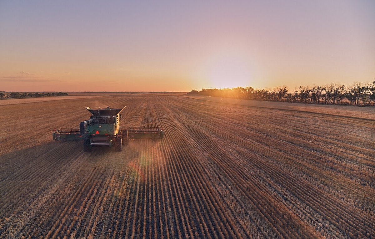 From Jansen to the World