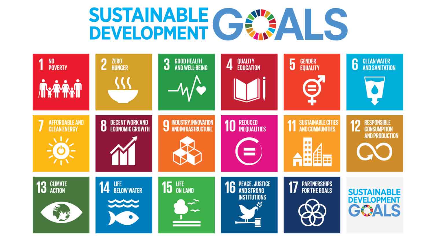 United Nations Sustainable Development Goals