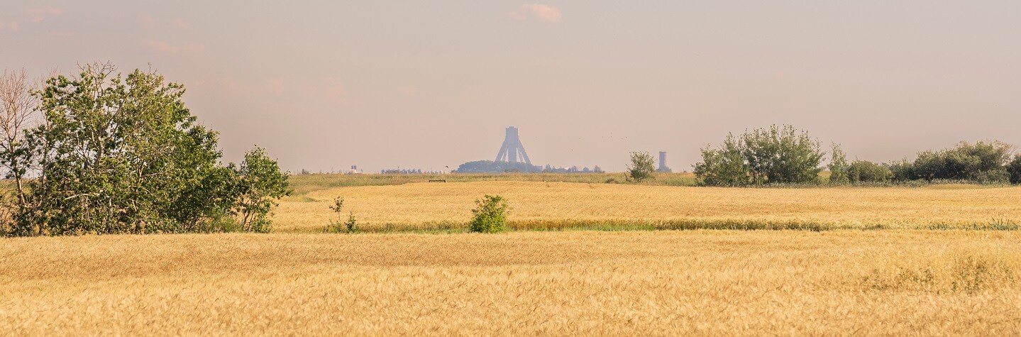 Jansen