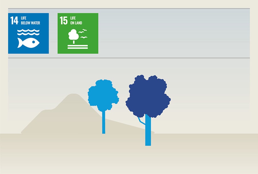 SDG3
