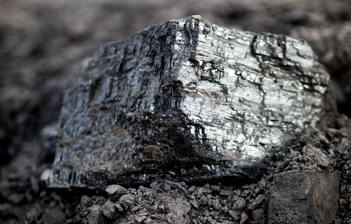 Coal 2021