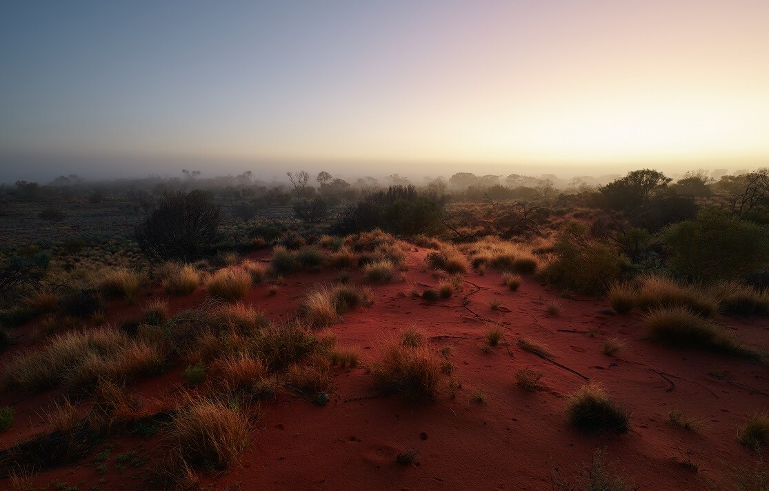 An expanse of red dirt with green vegetation, with a rising sun on the horizon.