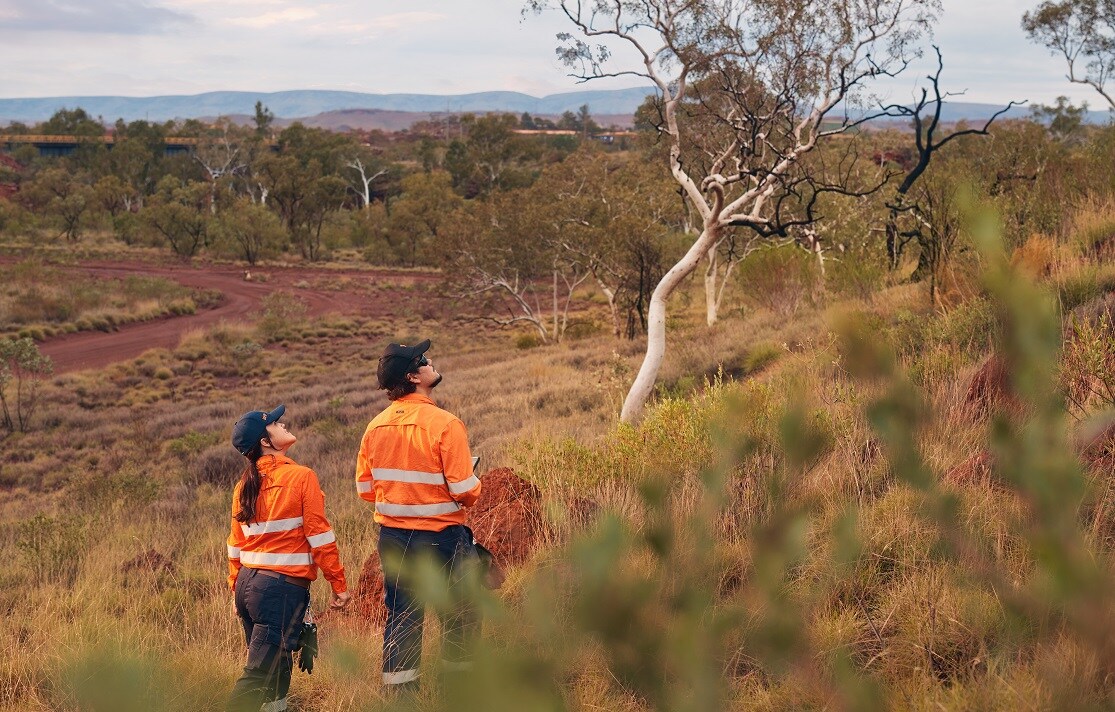 A man and woman walk facing away from camera in a landscape of red dirt and green scrub. They are both wearing orange hi-vis shirts. 