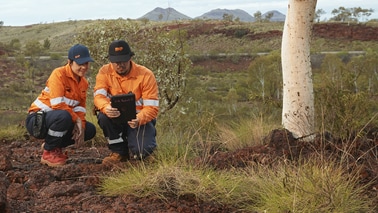 Indigenous Careers Image