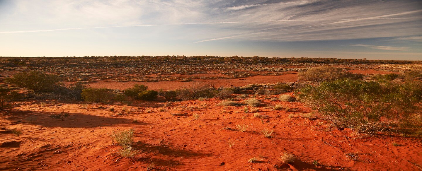 Landscape