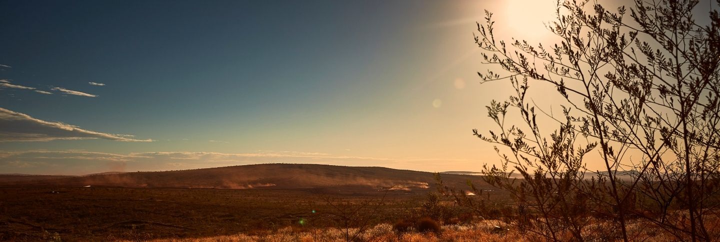 pilbara, tree, desert, australia