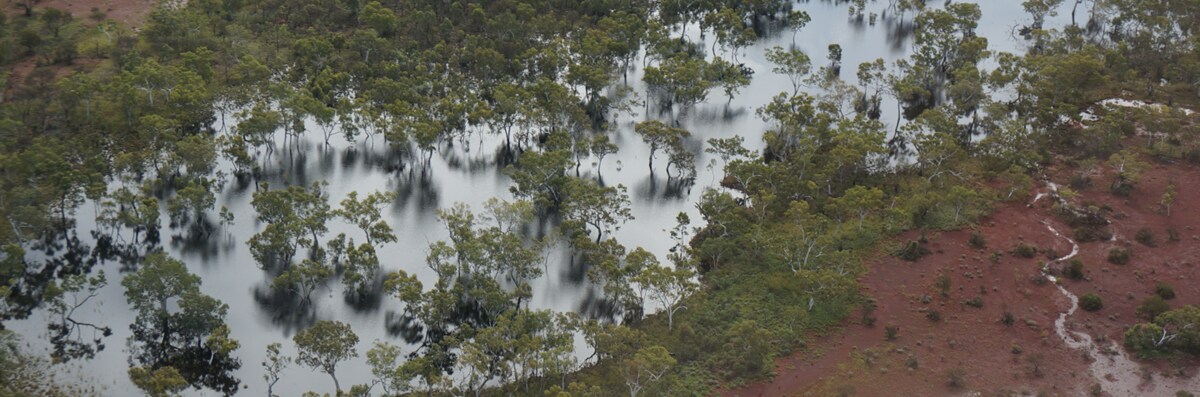 wetlands