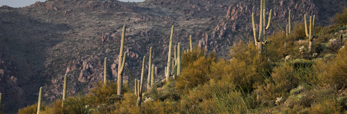 Arizona
