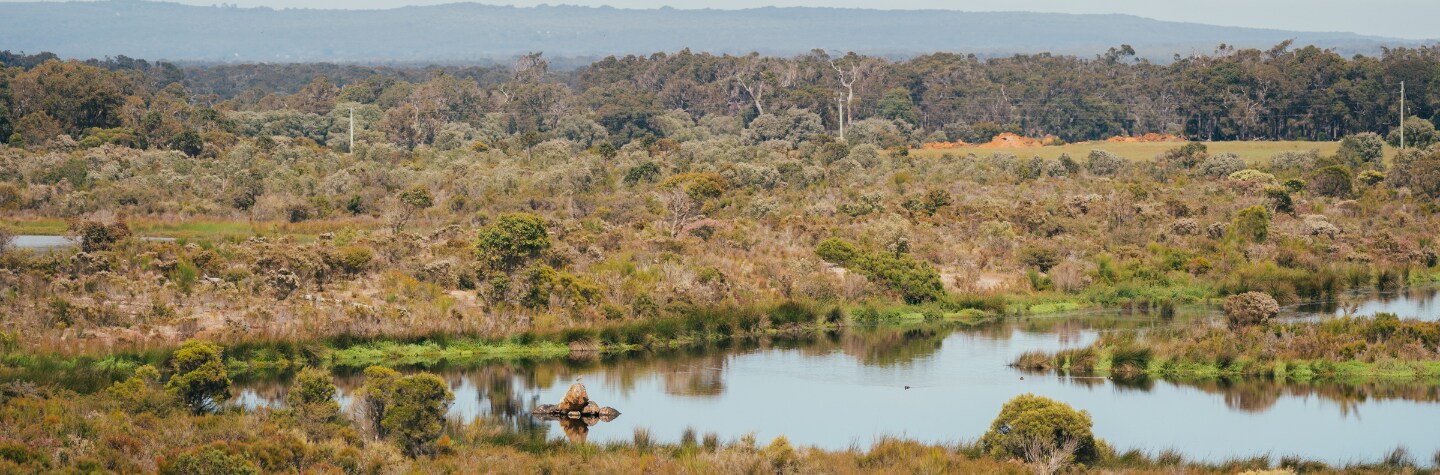 creek with nature in the background