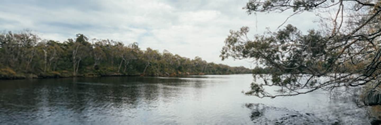 wetland