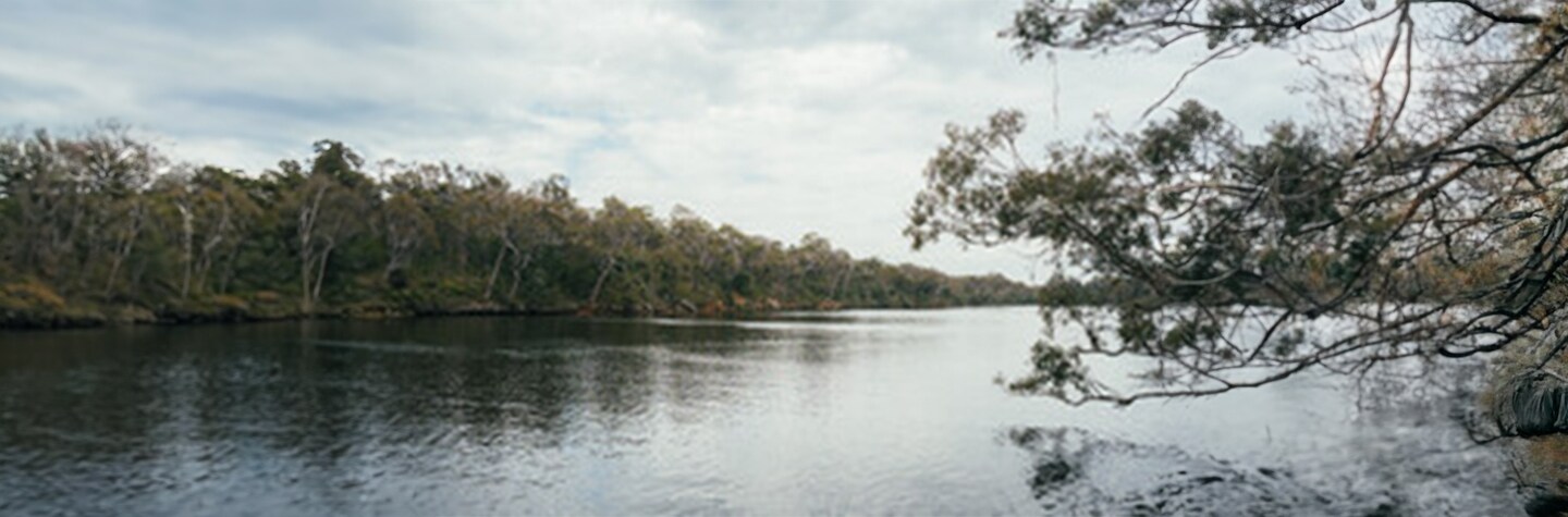 wetland