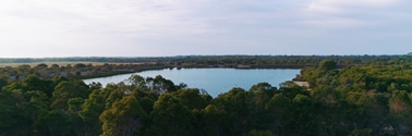 Lake with trees