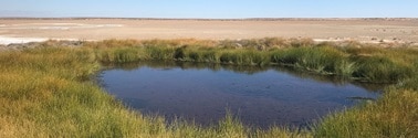 Gosse Springs