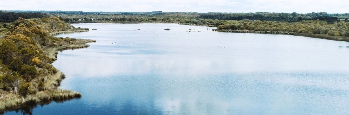 lake and greenery