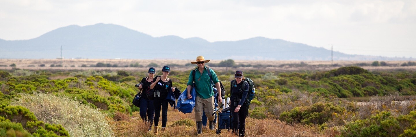 People walking in bushland