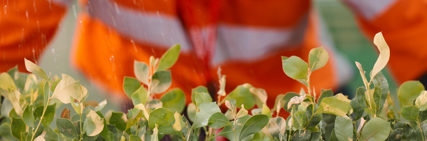 Small green vegetation in front of an orange, hi-vis shirt, with small drops of water falling down