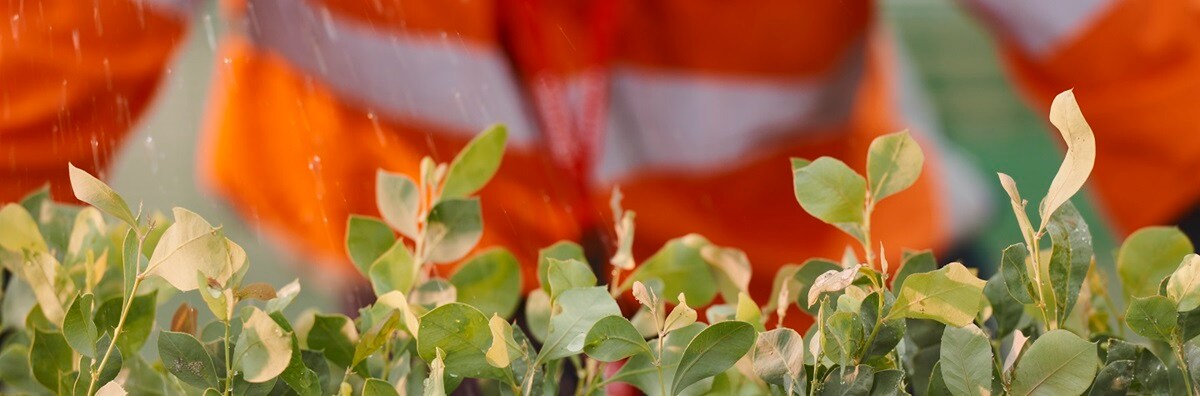 Small green vegetation in front of an orange, hi-vis shirt, with small drops of water falling down