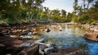 water, gorge, trees