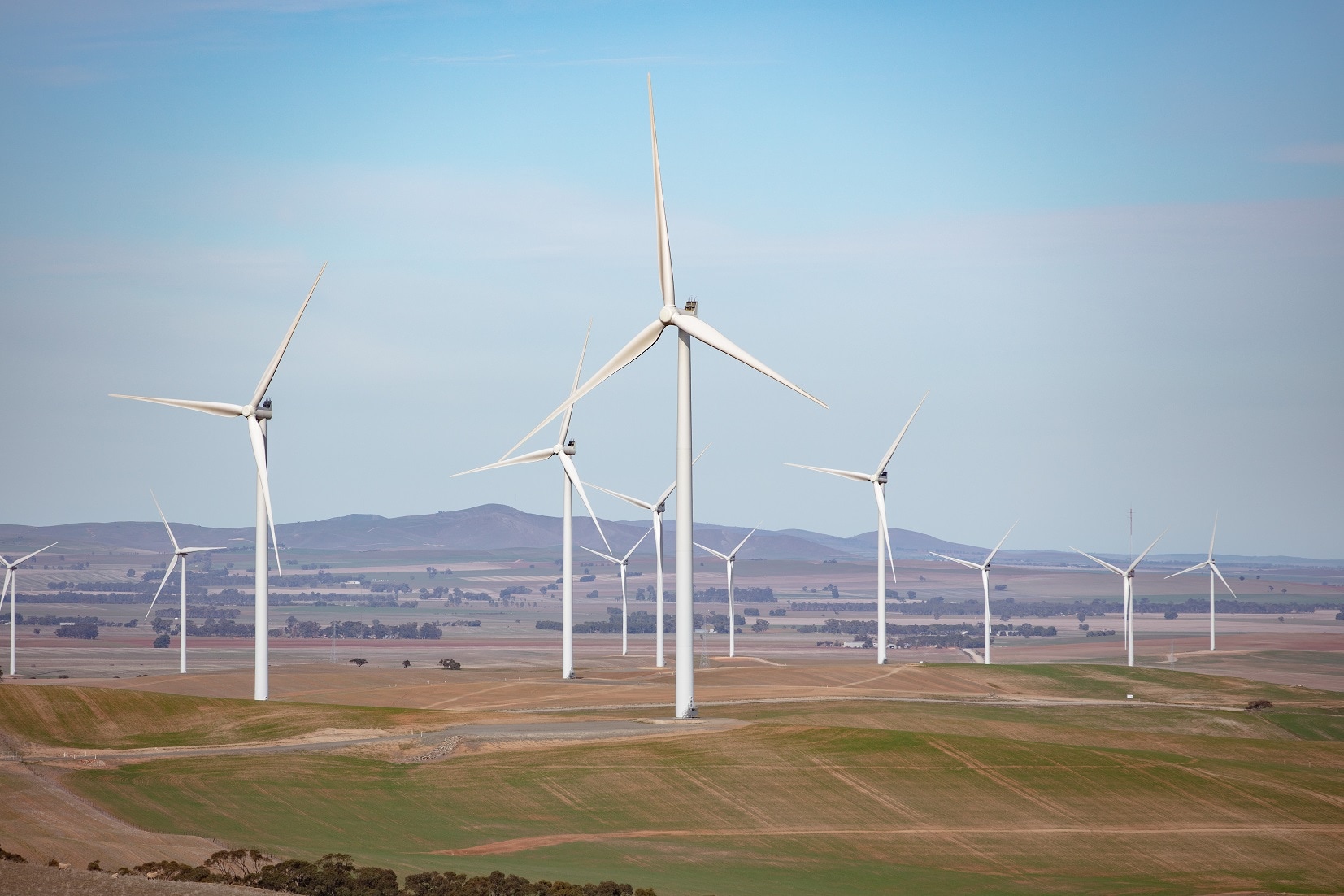 wind turbines in field