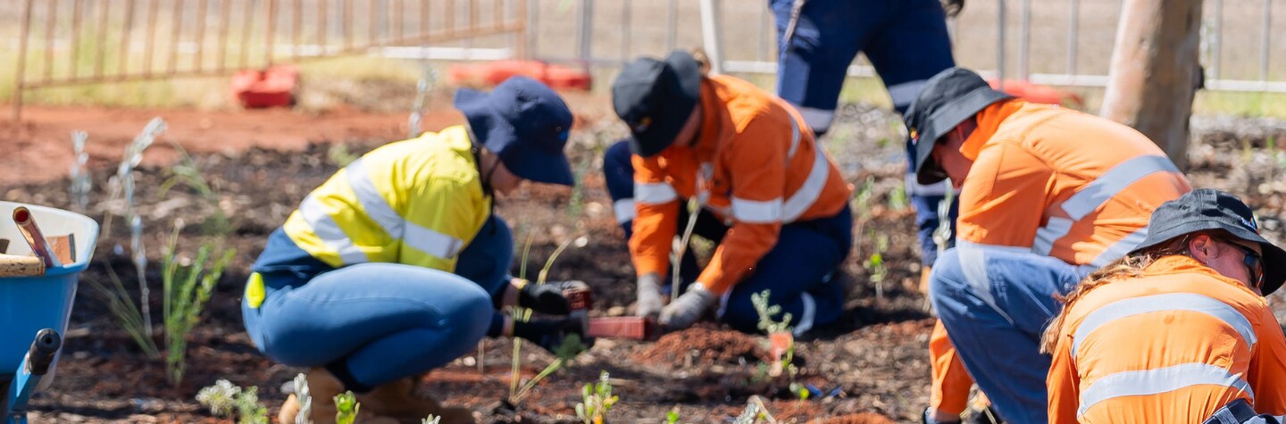 231101_WA Tree Planting