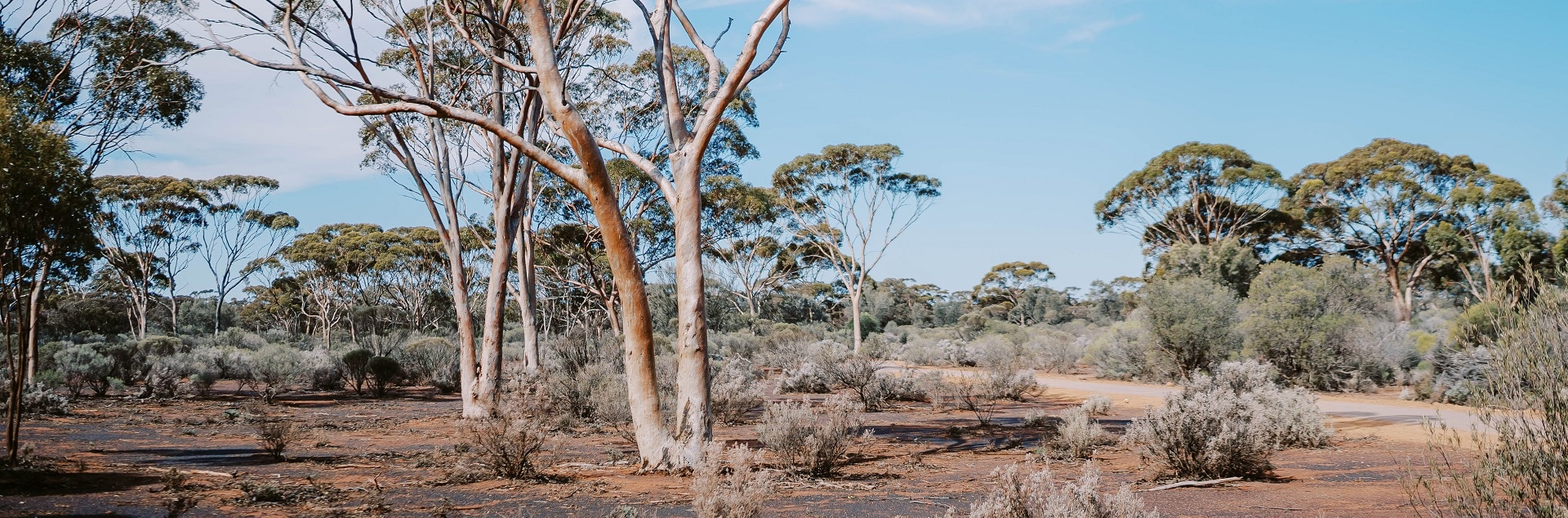 240827_casestudyindigenous