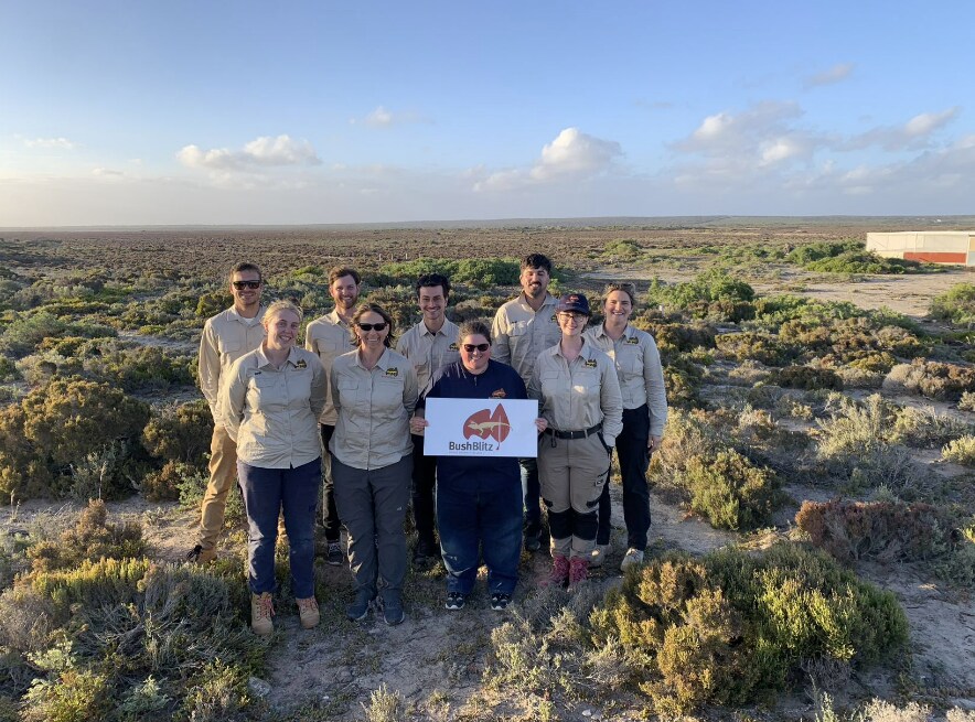 Bush Blitz pic