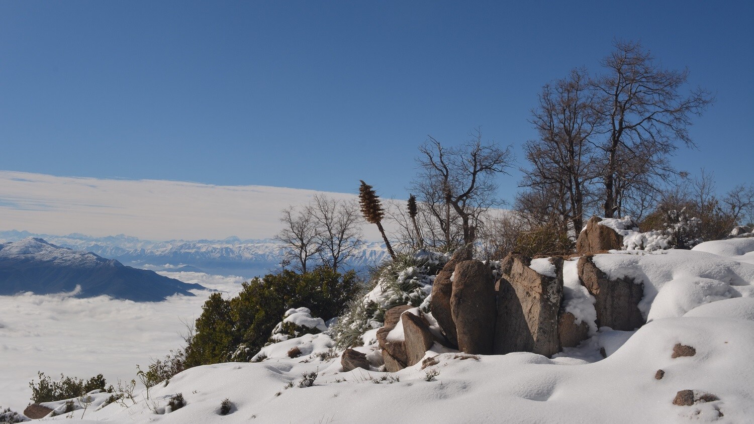 Landscale