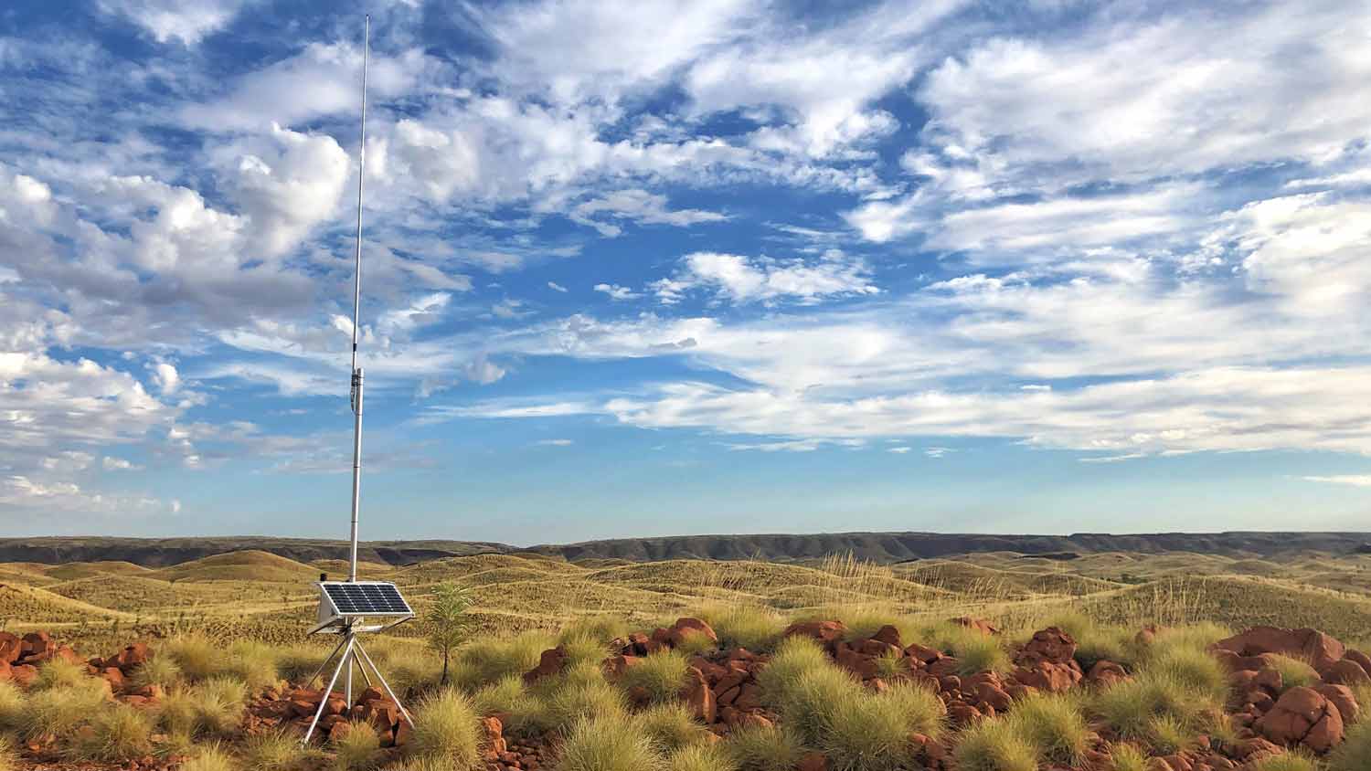 Supporting biodiversity through innovation