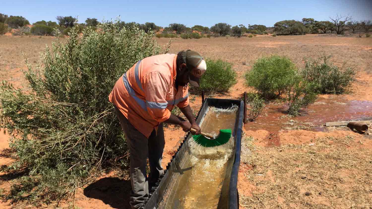 Getting back on Country: Kokatha Pastoral