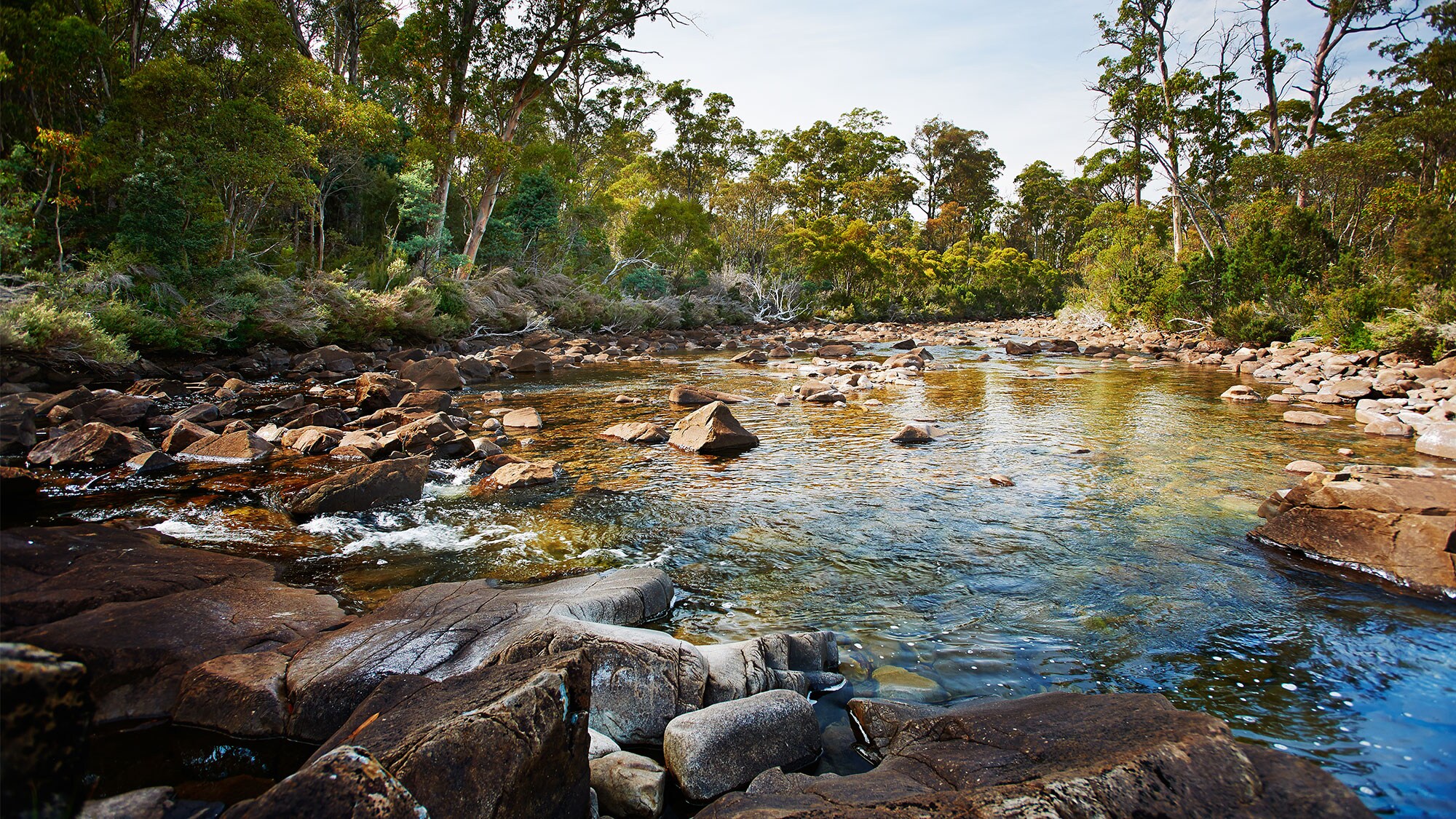 Water Stewardship