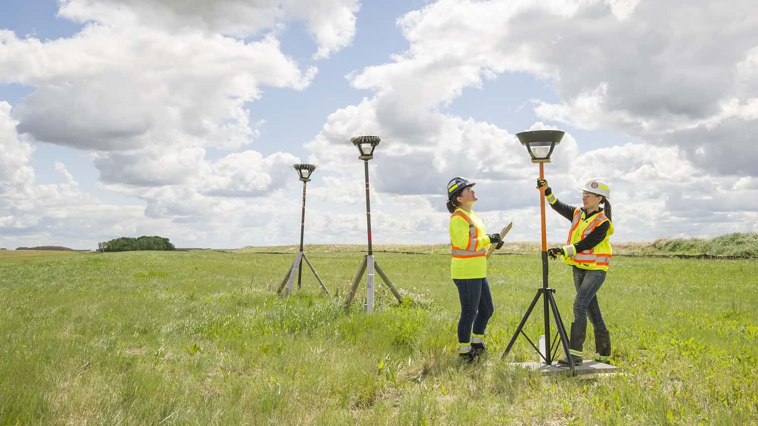 Picture of two people working in a green field