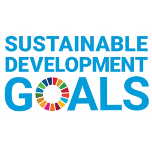 Sustainabile development goals logo