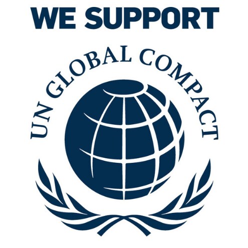 UN global compact logo