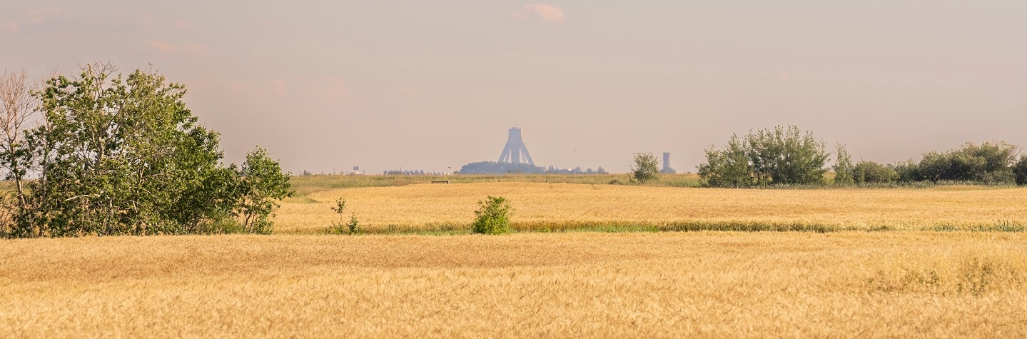 Jansen