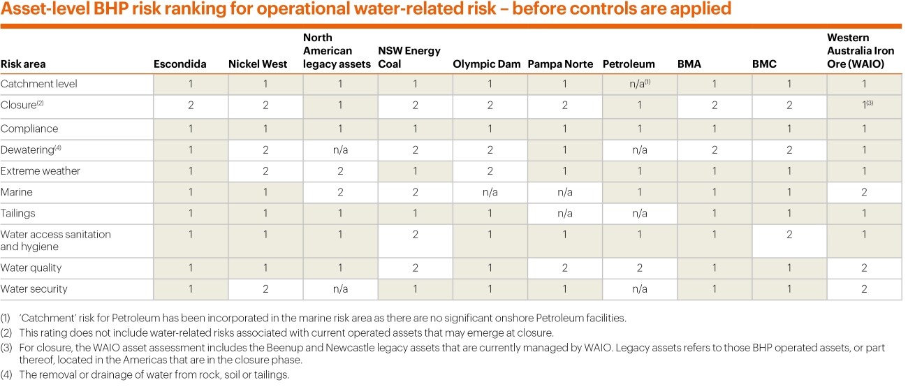 Asset-level BHP risk ranking
