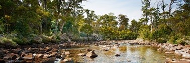 rocky creek